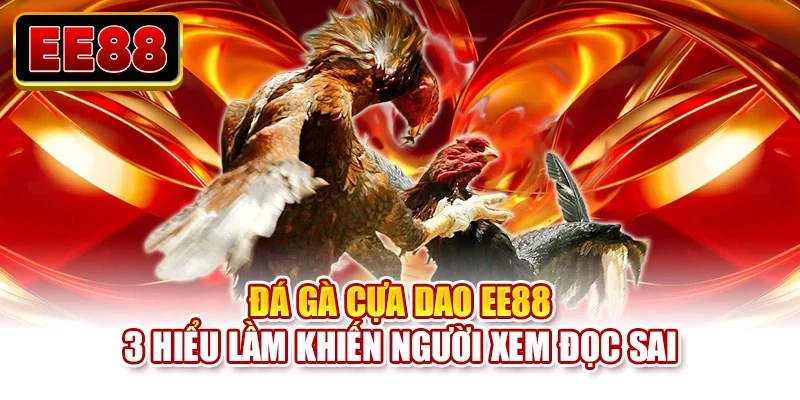 Đá gà cựa dao