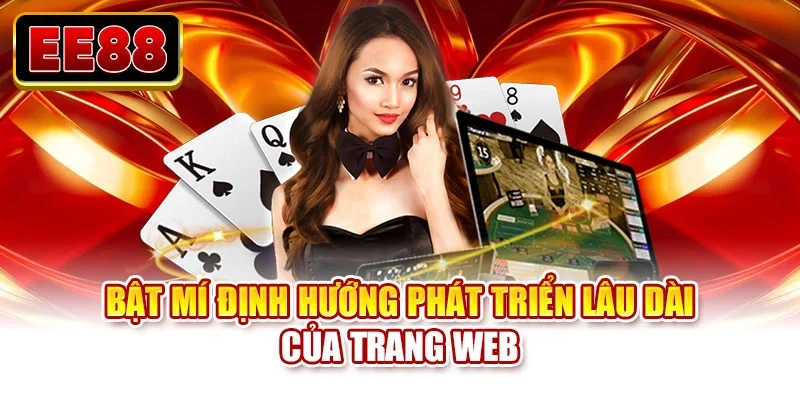 Bật mí định hướng phát triển lâu dài của trang web