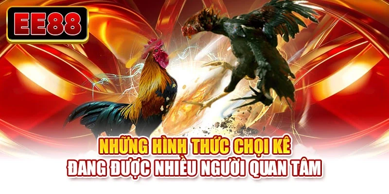 Những hình thức chọi kê đang được nhiều người quan tâm