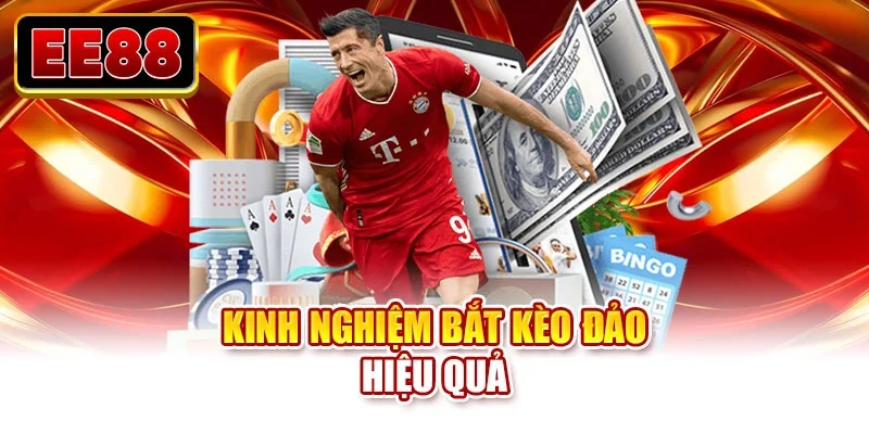 Kinh nghiệm bắt kèo đảo hiệu quả