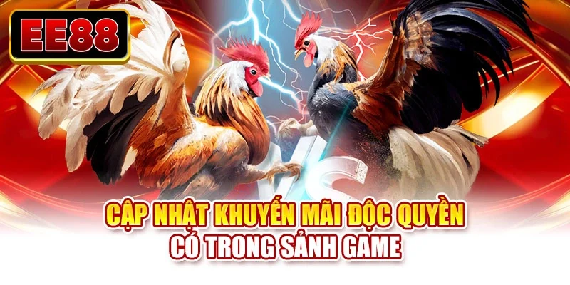 Cập nhật khuyến mãi độc quyền có trong sảnh game