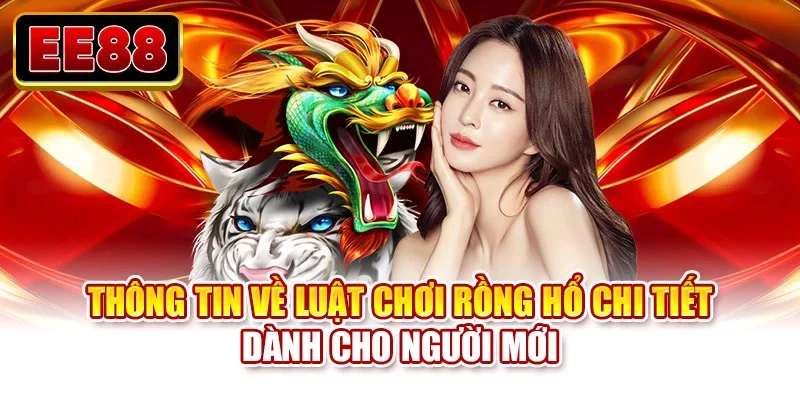 Thông tin về luật chơi rồng hổ chi tiết dành cho người mới