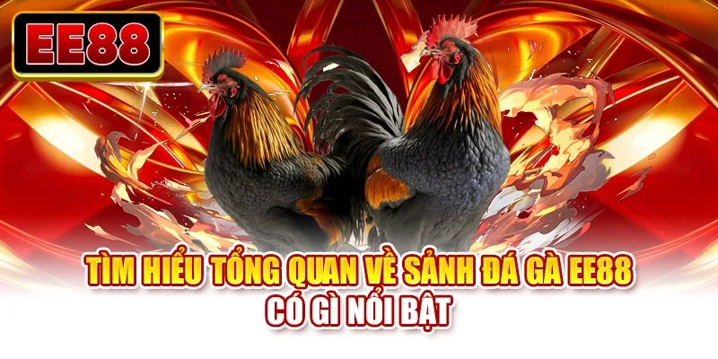 Tìm hiểu tổng quan về sảnh đá gà EE88 có gì nổi bật